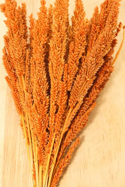 Крупним планом однокоричнева суха трава на коричневому дерев'яному — стокове фото