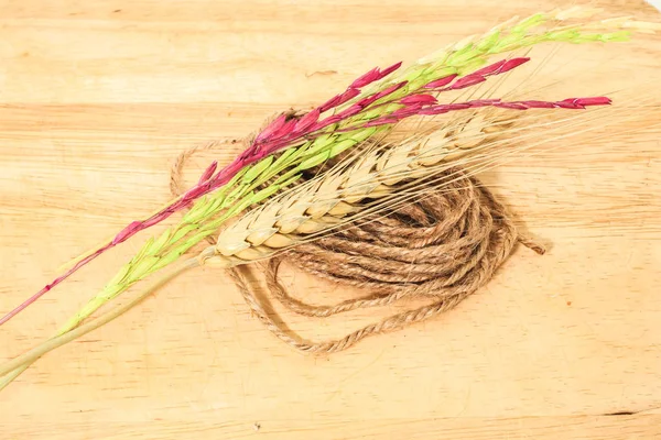 Крупним планом барвисті вуха рису ізольовані з маленькою коричневою мотузкою — стокове фото