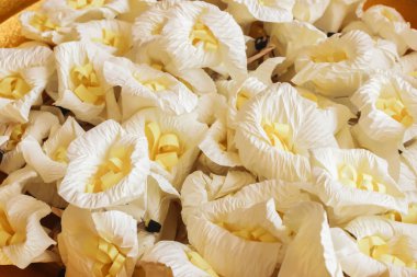 Beyaz ve sarı Sandalwood çiçeklerini kapayın ya da altın tepside kaideyle suni çiçekleri.