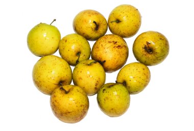 Maymun elma beyaz zemin üzerine juijube grup portre