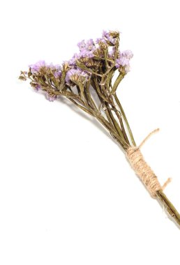 Closeup tek mor statice çiçek arka planı kullanmak için Dekorasy