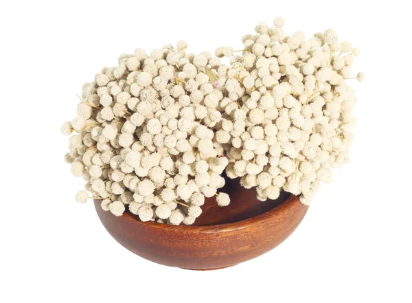 Bir avuç kurutulmuş beyaz Eriocaulon henryanum Ruhle cu ile ahşap