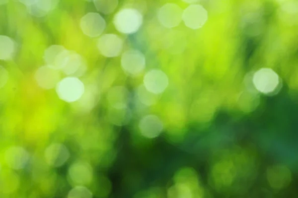 Arka plan yeşil bokeh pentagon gün ışığından yararlanma