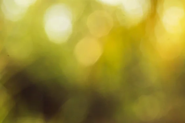 Abstrakt bakgrund gul bokeh femhörning dagsljus — Stockfoto