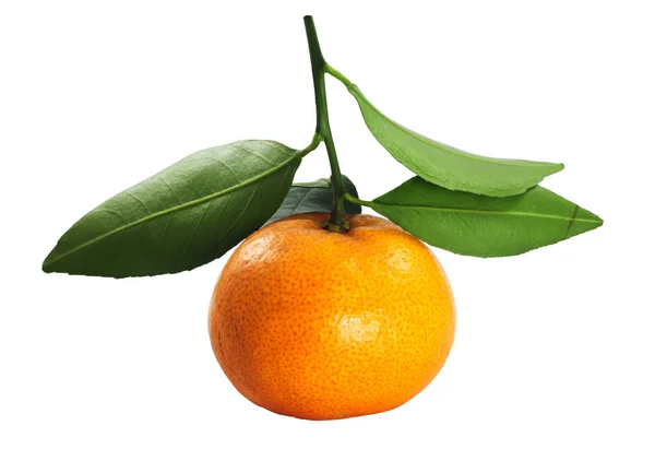 Крупним планом Свіжі тайські апельсинові фрукти з зеленим листом — стокове фото