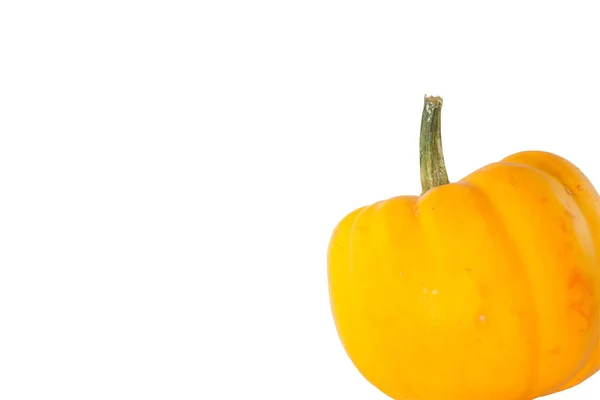 Close up Little Orange pumpkin on white background — Stock Photo, Image