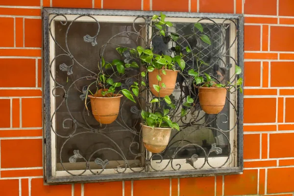 Close Beautiful Orange Brick Wall Flowerpot — Stock Photo, Image