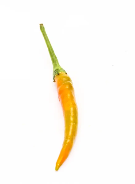 Close Singer Orange Chili Pepper White Background — Stock Photo, Image