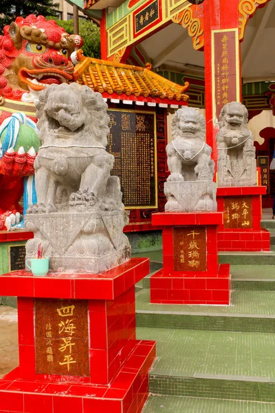 Close Stone Lion Statue Repulse Bay Temple Hong Kong — Stock Photo, Image