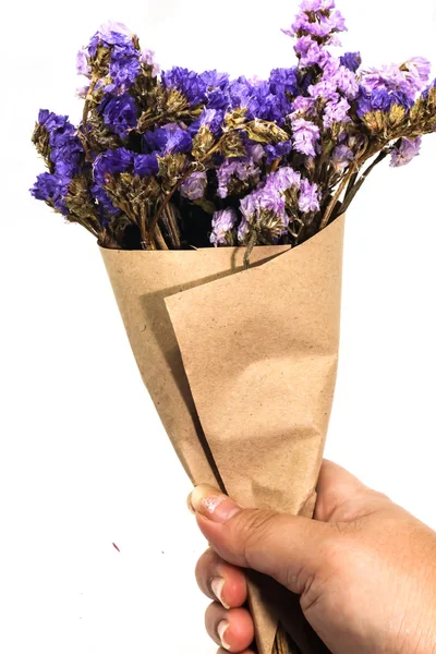 Крупный План Коричневый Букет Фиолетовый Статистика Сухой Цветок Руке Белый — стоковое фото