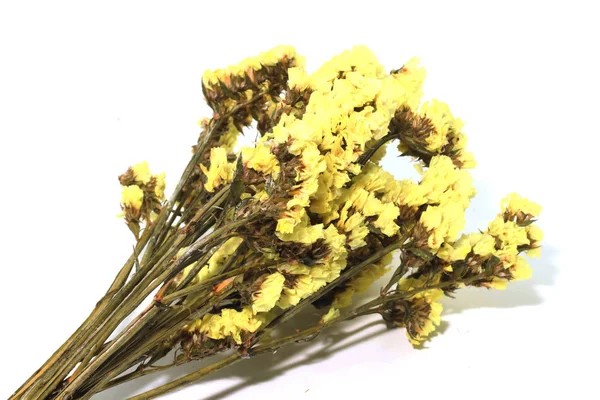Süsleme Için Sarı Istatiksel Çiçek Arkaplanı Kapatıldı — Stok fotoğraf