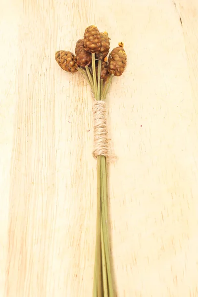 Крупним Планом Групова Коричнева Суха Квітка Невеликим Коричневим Мотузковим Мішком — стокове фото