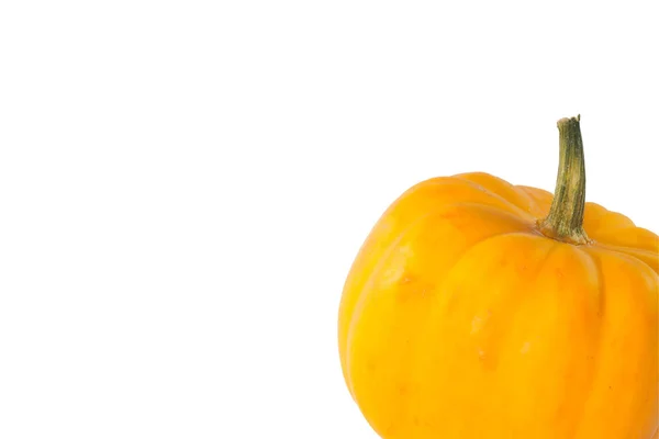 Крупный План Маленькая Апельсиновая Тыква Белом Фоне — стоковое фото