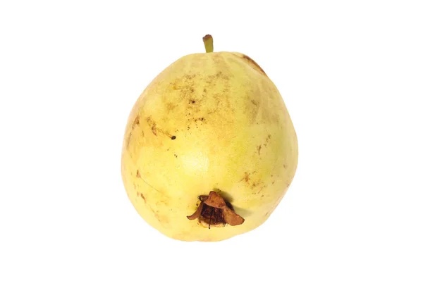 Detailní Záběr Jednoho Guavského Ovoce Izolovaného Bílém Pozadí — Stock fotografie