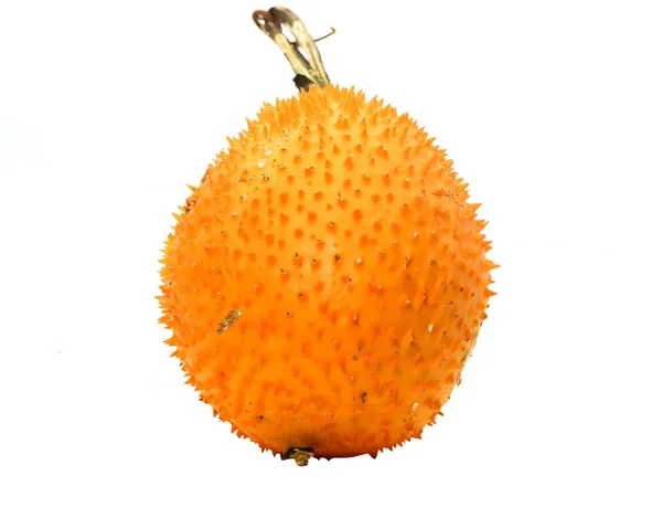 Close Van Een Oranje Baby Jackfruit Witte Achtergrond — Stockfoto