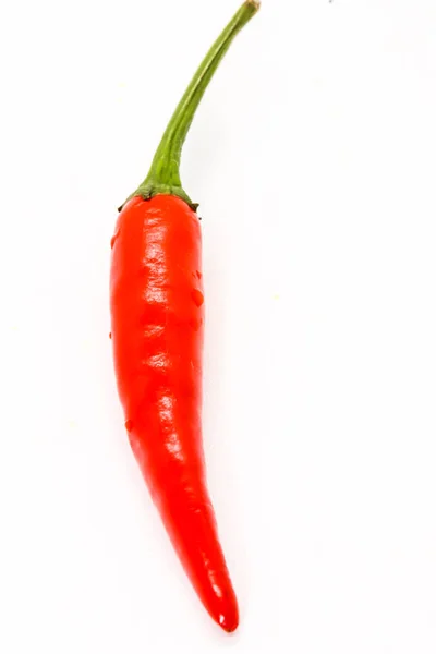 Zbliżenie z piosenkarka czerwone papryczki chili na białym tle — Zdjęcie stockowe