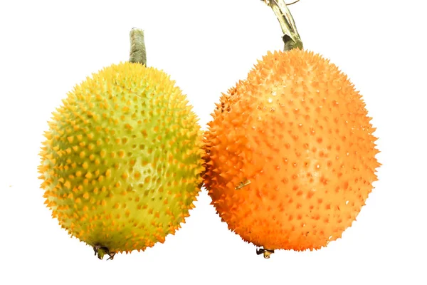 Primo piano di gemelli arancio e verde Baby Jackfruit su sfondo bianco — Foto Stock