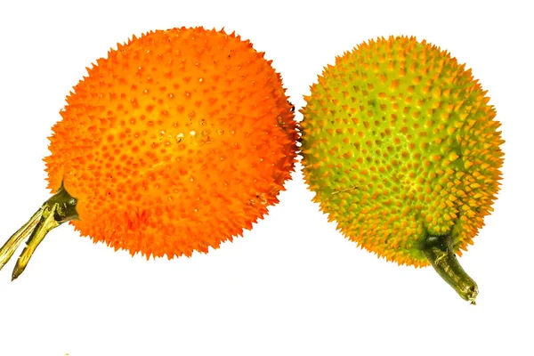 Closeup των δύο πορτοκαλί και πράσινο Jackfruit μωρό σε λευκό φόντο — Φωτογραφία Αρχείου