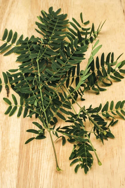 Primer plano de hoja de popinac blanco sobre madera marrón —  Fotos de Stock