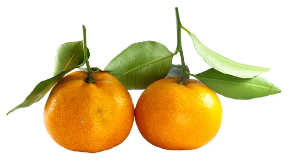 Свіжі тайські два апельсинових фрукти з зеленим листом на білому тлі — стокове фото