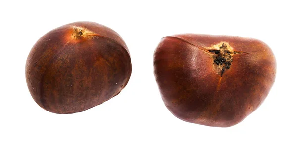 Fresco due castagne su sfondo bianco — Foto Stock