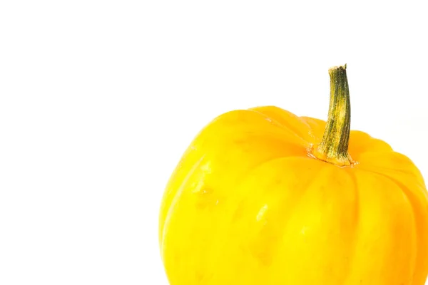 Little Orange pumpkin on white background — Stock Photo, Image