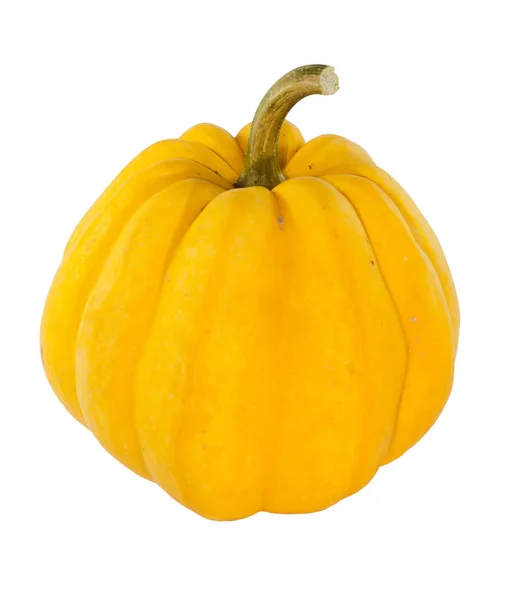 Little yellow pumpkin for chinese new year — Stock Photo, Image