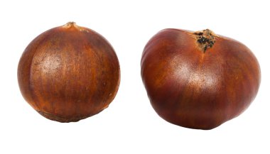 Beyaz arka plan üzerinde makro taze iki kestane