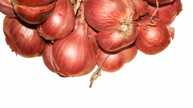 Beyaz arka plan üzerinde soğancık soğan