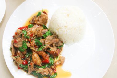 Beyaz çanak üzerinde Kavrulmuş Chili ile Kızarmış Ördek Karıştırın