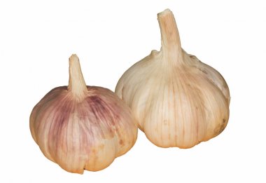 Beyaz arka plan üzerinde iki taze sarımsak