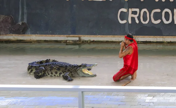 Pääkirjoitus-Näytä iso krokotiili lattialla eläintarhassa, HUA HIN, Th — kuvapankkivalokuva