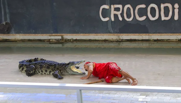 Editorial-The Show crocodilo grande no chão no zoológico, Thaila — Fotografia de Stock