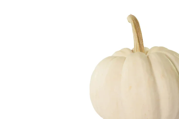 Single Small white pumpkin on white background — Stock Photo, Image