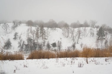 Tepeler ve karanlık ağaçlarla kaplı kış manzarası. Dağlar soğuk mevsimde karla kaplıdır..
