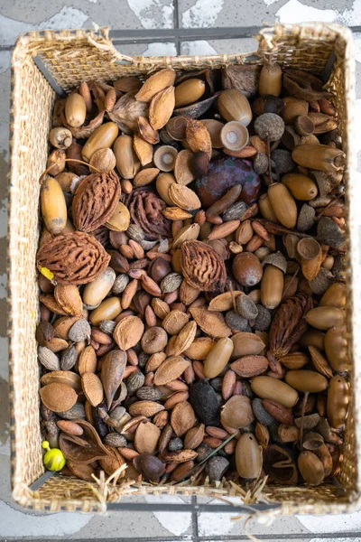 Coleção Frutos Frutos Uma Cesta Vime Soalho Cerâmico Pêssego Damasco — Fotografia de Stock