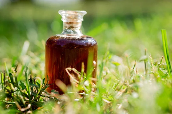 Botella Vidrio Con Líquido Transparente Oscuro Sobre Hierba Bebida Saludable — Foto de Stock