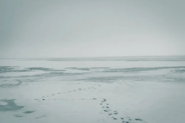 Zicht Besneeuwde Horizon Winterlandschap Bevroren Zee Rivier Een Bewolkte Dag — Stockfoto