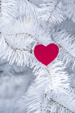 Kış serin ve sevgi dolu bir kalp. Kırmızı Kalp beyaz dallarda.