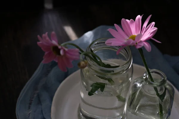 Still life with delicate chamomile flowers with pink petals on a dark wooden background with a kitchen gauze towel.