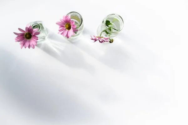 Tarjeta Primavera Con Flores Botellas Vidrio Pie Una Fila Tres — Foto de Stock