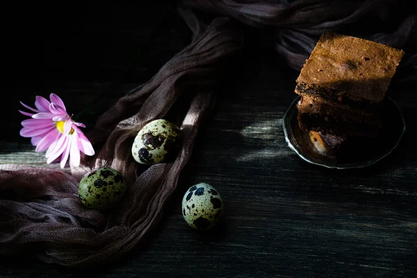 Chocolade Brownie Kwarteleitjes Dieetvoeding Voor Desserts Voor Paasvakantie — Stockfoto
