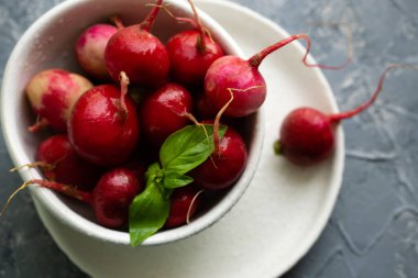 Öğle yemeği için taze salata serpiştirilmiş fesleğenli turp.
