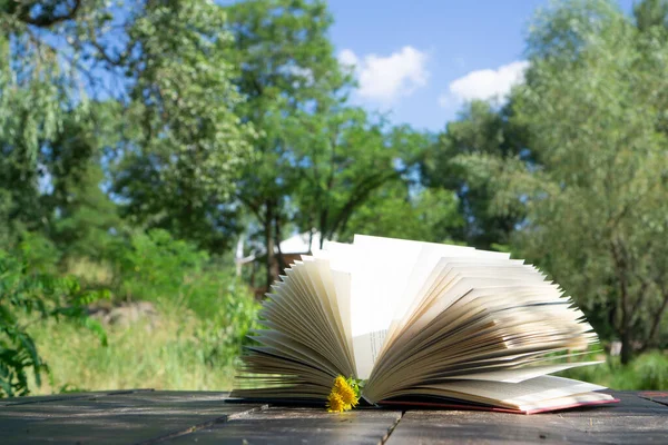Yeşil ağaçların ve hafif esintili mavi gökyüzünün arka planında sayfalar arasında yaz çiçekleri olan doğa üzerine açık bir kitap..