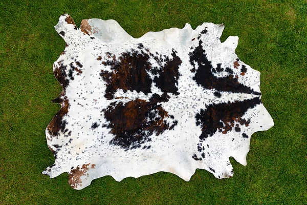 Piel Vaca Blanca Marrón Manchada Entera Sobre Fondo Hierba Verde — Foto de Stock
