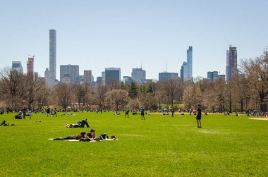 Central Park 'ın yatay manzarasında güneşli bir sonbahar gününde çimenlerin üzerinde gevşeyen genç insanlar ve arka taraftaki gökdelenler.