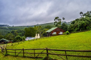 Sabie Güney Afrika'da güzel bir günlük ahşap kabin evi yerli çam ormanı ve yeşillik bakan