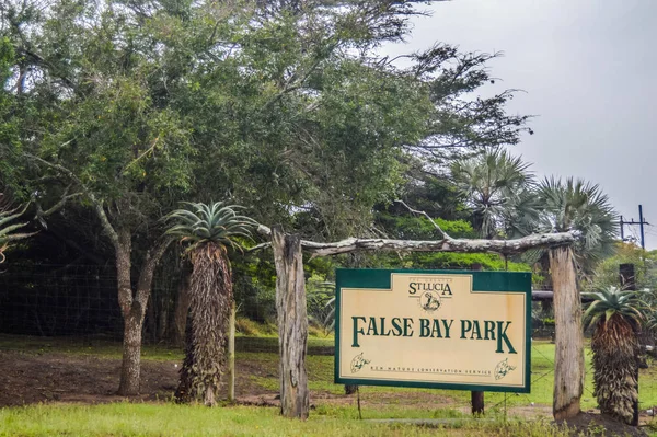 Parque de la bahía falsa verde y aislado en los humedales de Isimangaliso en Sudáfrica —  Fotos de Stock