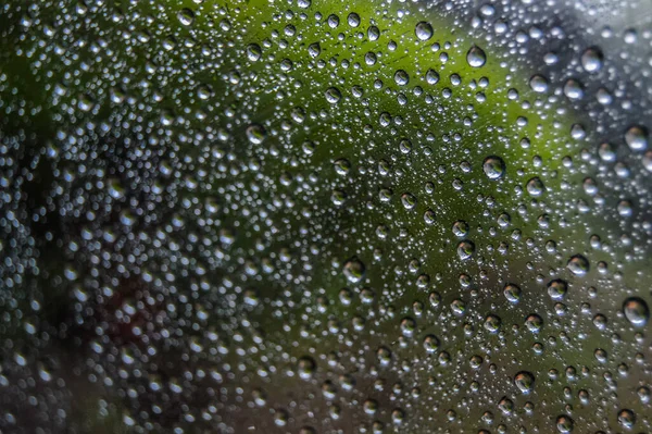 Soyut yağmur damlaları, bitkinin yeşil yansıması olan arabanın cam camında desen oluşturuyor. — Stok fotoğraf