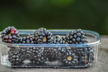 Taze, sağlıklı, besleyici ve organik böğürtlenli tepside